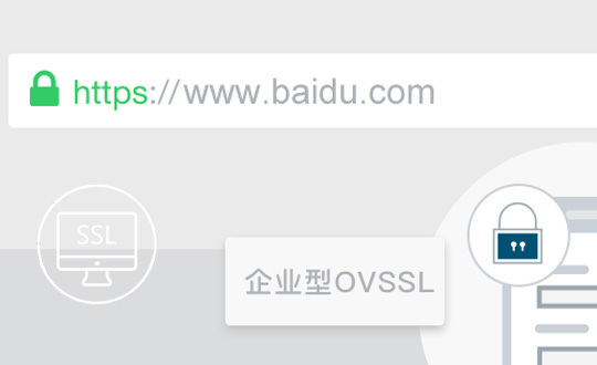 企業(yè)型 OV SSL證書